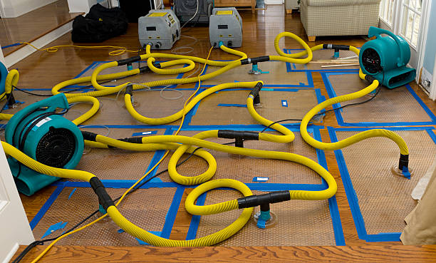 Professional Water Damage Restoration technician working in Hillsboro, OH
